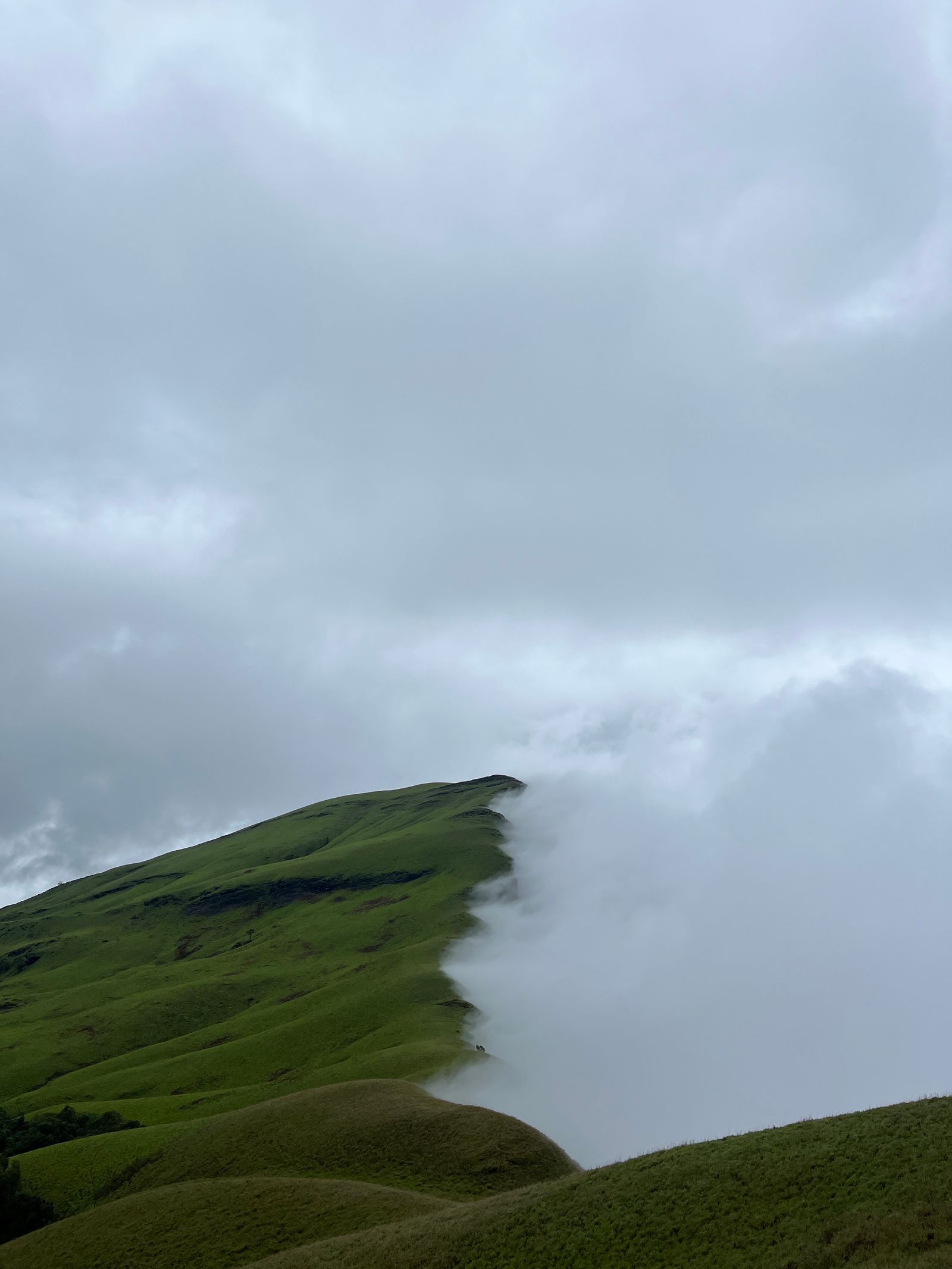 Mist drifts over the green hills of Karnataka’s Western Ghats
